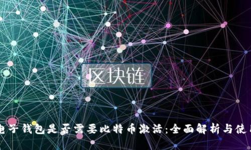 国外电子钱包是否需要比特币激活：全面解析与使用指南
