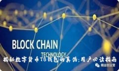 揭秘数字货币TB钱包的真伪