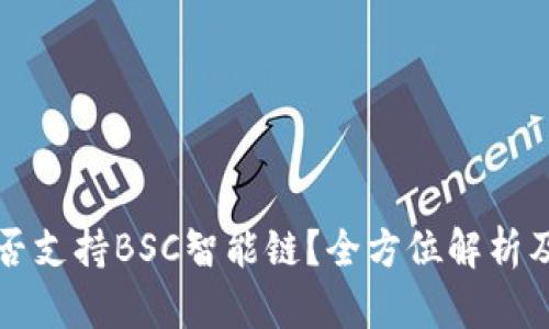 TP钱包是否支持BSC智能链？全方位解析及使用指南