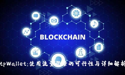 tpWallet：使用流量登录的可行性与详细解析