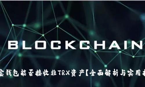 波宝钱包能否接收非TRX资产？全面解析与实用指南