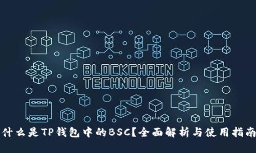 什么是TP钱包中的BSC？全面解析与使用指南