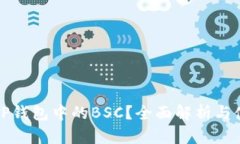 什么是TP钱包中的BSC？全面