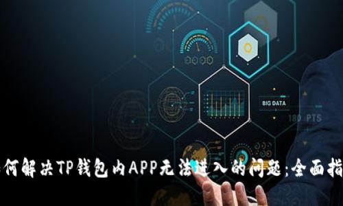 如何解决TP钱包内APP无法进入的问题：全面指南