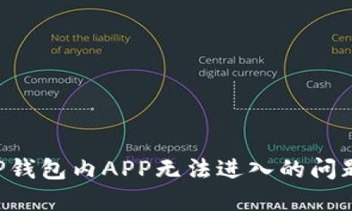 如何解决TP钱包内APP无法进入的问题：全面指南