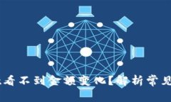 为什么TPWallet看不到金额变