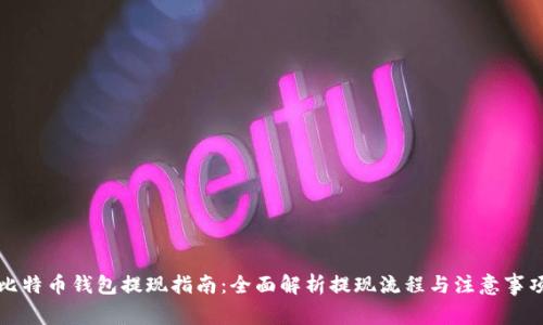 比特币钱包提现指南：全面解析提现流程与注意事项