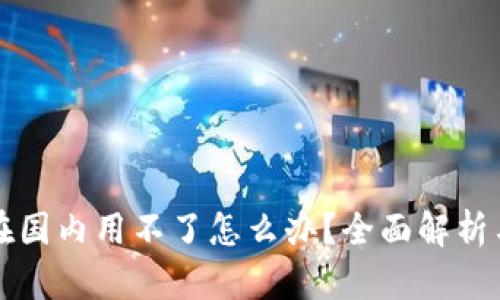 tpWallet在国内用不了怎么办？全面解析与解决方案