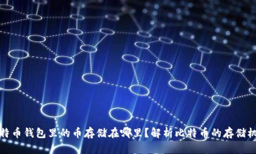 比特币钱包里的币存储在哪里？解析比特币的存储机制
