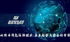 比特币钱包逐渐增大：未来趋势与安全性分析