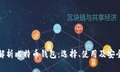 全面解析比特币钱包：选择、使用及安全管理