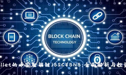 TPWallet的币安智能链（BSC）BNB：全面解析与投资指南