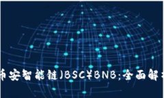 TPWallet的币安智能链（BS