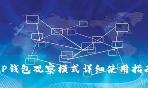 tP钱包观察模式详细使用指南