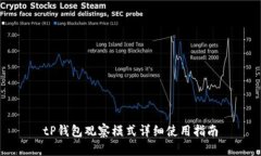 tP钱包观察模式详细使用指南