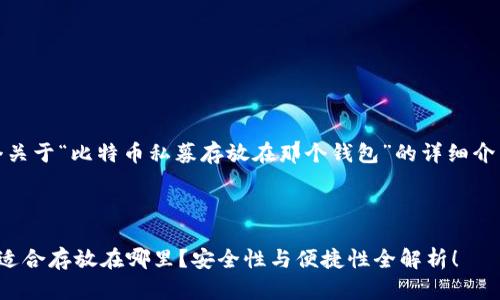 好的，这里是一个关于“比特币私募存放在那个钱包”的详细介绍以及相关内容。

br/

比特币私募投资适合存放在哪里？安全性与便捷性全解析！