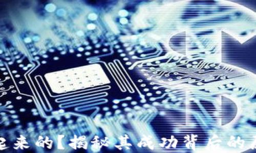 
tP钱包怎么火起来的？揭秘其成功背后的原因与市场影响
