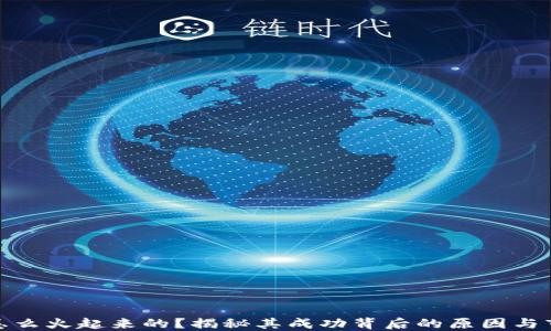 
tP钱包怎么火起来的？揭秘其成功背后的原因与市场影响