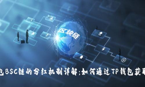 TP钱包BSC链的分红机制详解：如何通过TP钱包获取收益