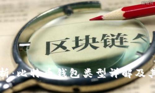 全面解析：比特币钱包类型详解及其优缺点