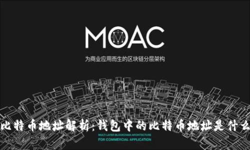  比特币地址解析：钱包中的比特币地址是什么？
