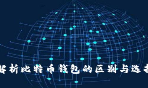 全面解析比特币钱包的区别与选择指南