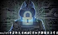 如何在tpwallet中获取充币地址？详细步骤解析与常