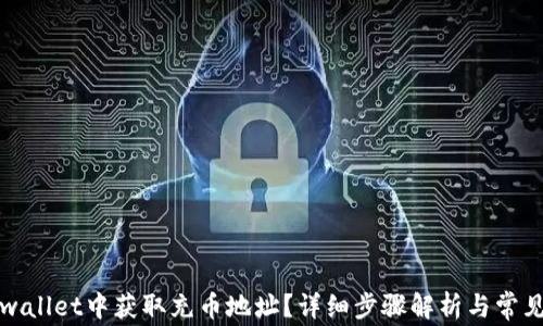
如何在tpwallet中获取充币地址？详细步骤解析与常见问题解答
