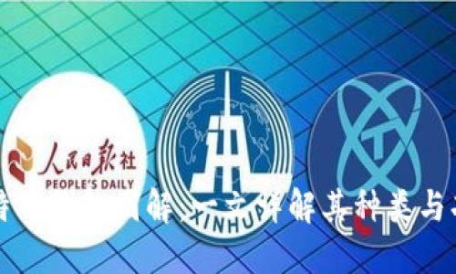 比特币钱包图解：一文详解其种类与功能