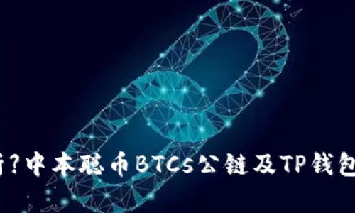 【全面解析】中本聪币BTCs公链及TP钱包使用指南