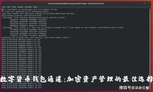 数字货币钱包通道：加密资产管理的最佳选择