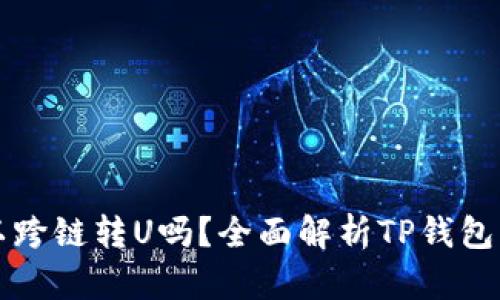 TP钱包可以跨链转U吗？全面解析TP钱包的跨链功能