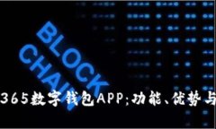 全面解析365数字钱包APP：