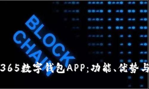 全面解析365数字钱包APP：功能、优势与使用技巧