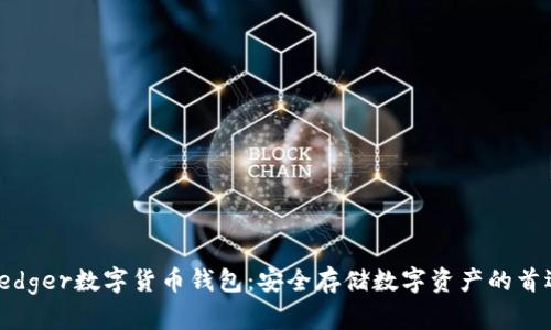 Ledger数字货币钱包：安全存储数字资产的首选
