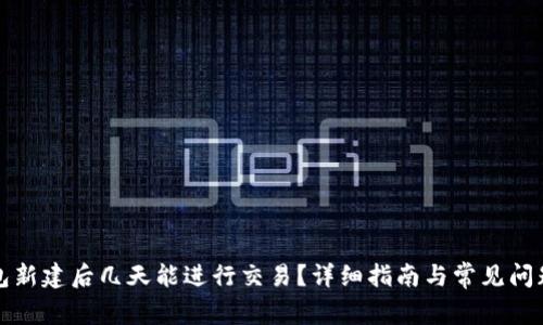 TP钱包新建后几天能进行交易？详细指南与常见问题解答