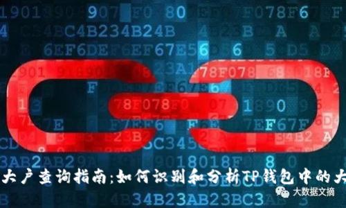 TP钱包大户查询指南：如何识别和分析TP钱包中的大户账户