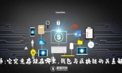 u币：它究竟存储在哪里，