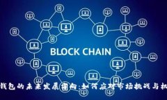 TP钱包的未来发展方向：如