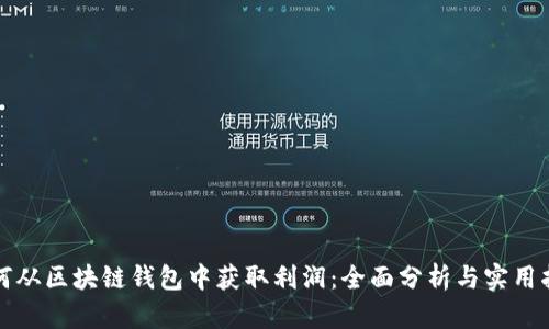 如何从区块链钱包中获取利润：全面分析与实用指南