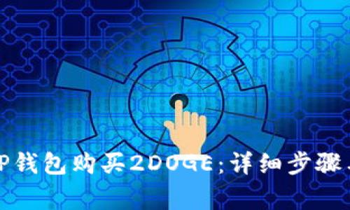 如何通过TP钱包购买2DOGE：详细步骤与注意事项