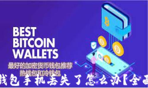 
数字币冷钱包手机丢失了怎么办？全面应对指南