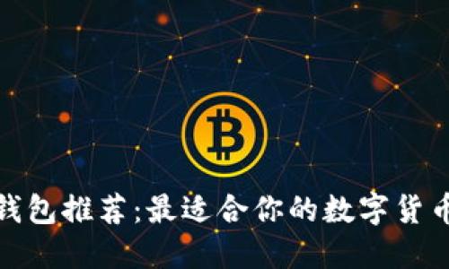 数字货币钱包推荐：最适合你的数字货币钱包选择
