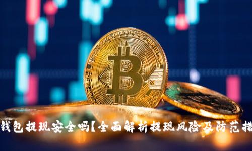 TP钱包提现安全吗？全面解析提现风险及防范措施