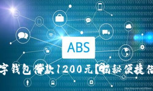 如何通过数字钱包借款1200元？揭秘便捷借贷的全流程