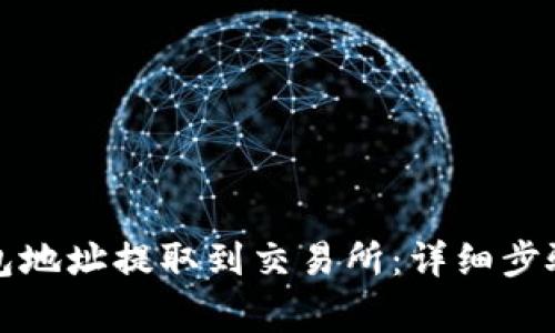 如何将TP钱包地址提取到交易所：详细步骤与注意事项