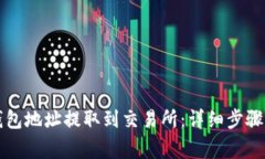 如何将TP钱包地址提取到交