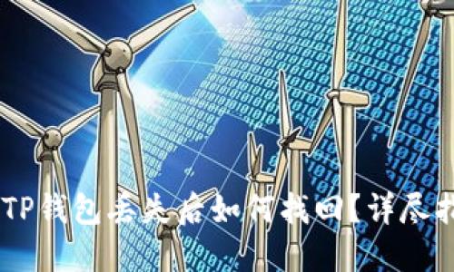 抹茶提USDT到TP钱包丢失后如何找回？详尽指南与解决方案