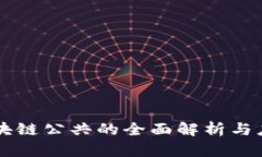 区块链公共的全面解析与