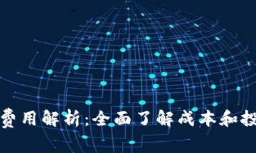 TP开发费用解析：全面了解成本和投资回报